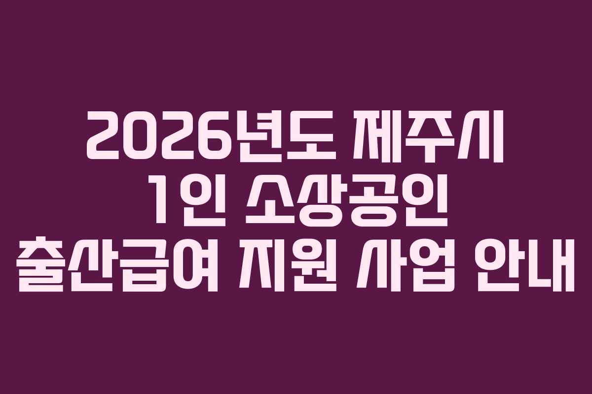 2026년도 제주시 1인 소상공인 출산급여 지원 사업 안내