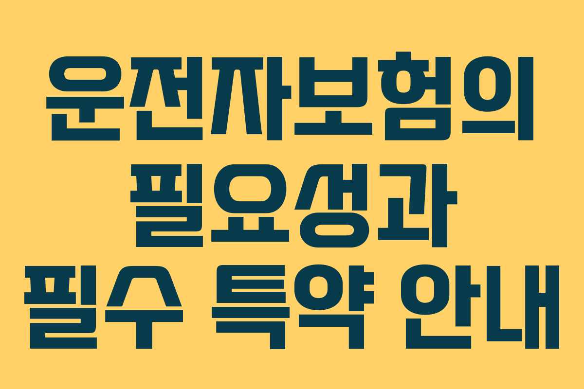 운전자보험의 필요성과 필수 특약 안내