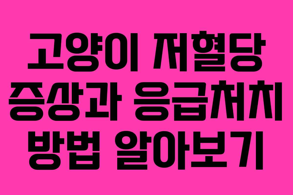 고양이 저혈당 증상과 응급처치 방법 알아보기