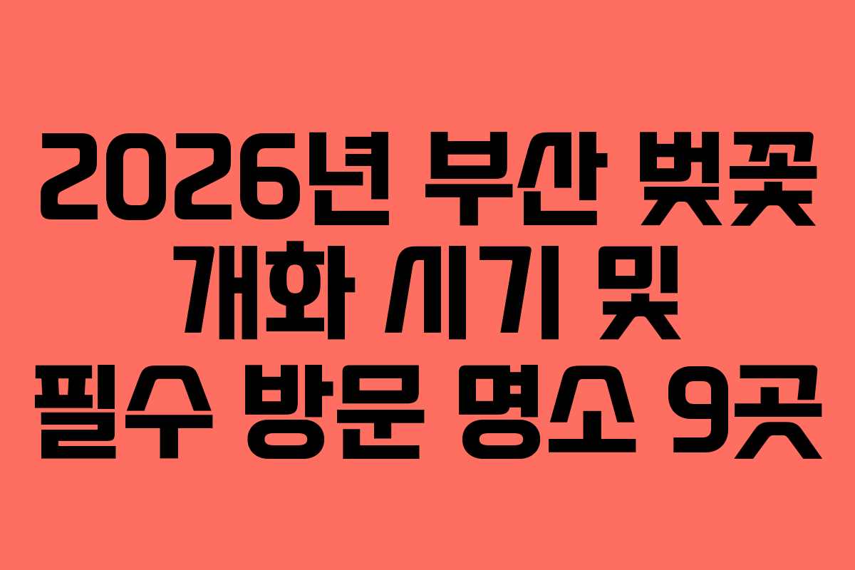 2026년 부산 벚꽃 개화 시기 및 필수 방문 명소 9곳