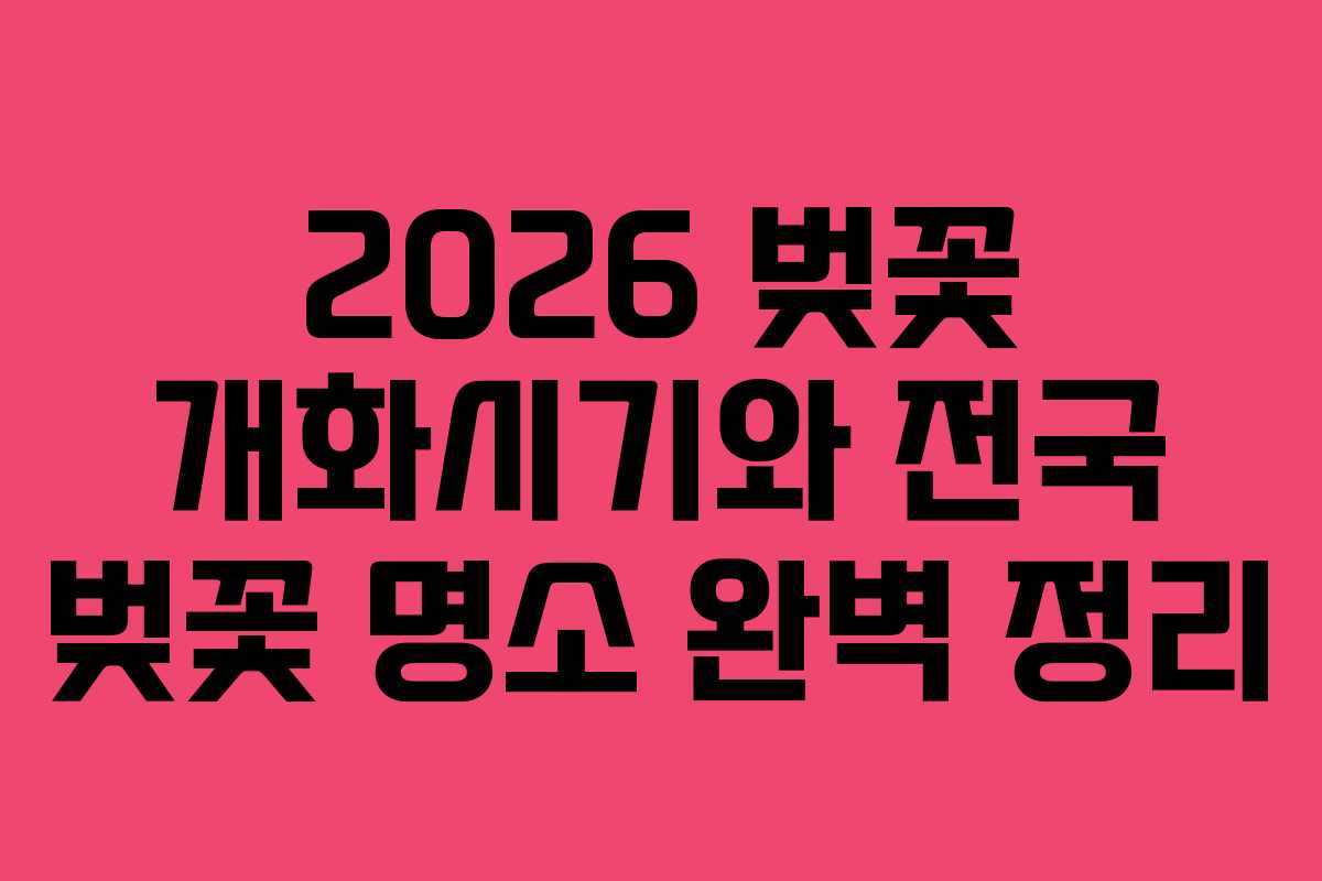 2026 벚꽃 개화시기와 전국 벚꽃 명소 완벽 정리