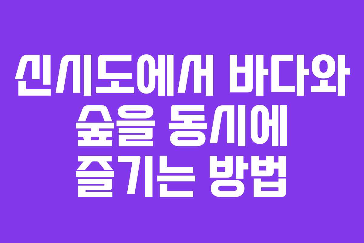 신시도에서 바다와 숲을 동시에 즐기는 방법