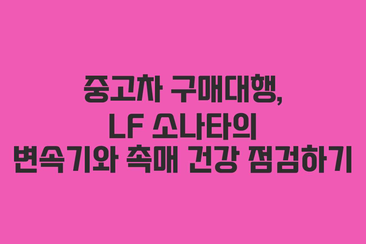 중고차 구매대행, LF 소나타의 변속기와 촉매 건강 점검하기
