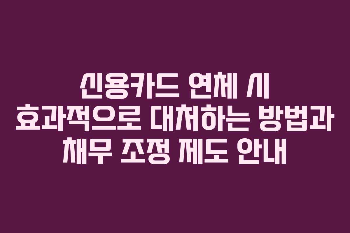 신용카드 연체 시 효과적으로 대처하는 방법과 채무 조정 제도 안내