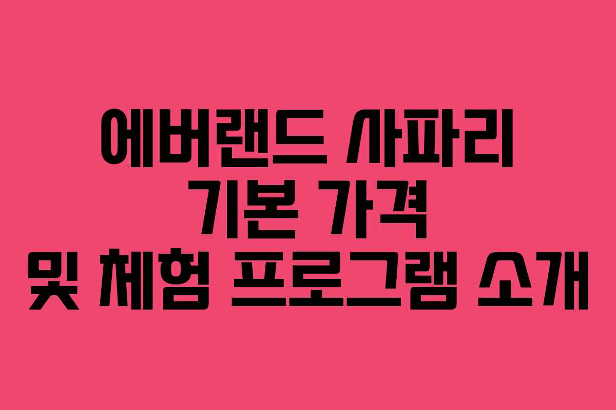 에버랜드 사파리 기본 가격 및 체험 프로그램 소개