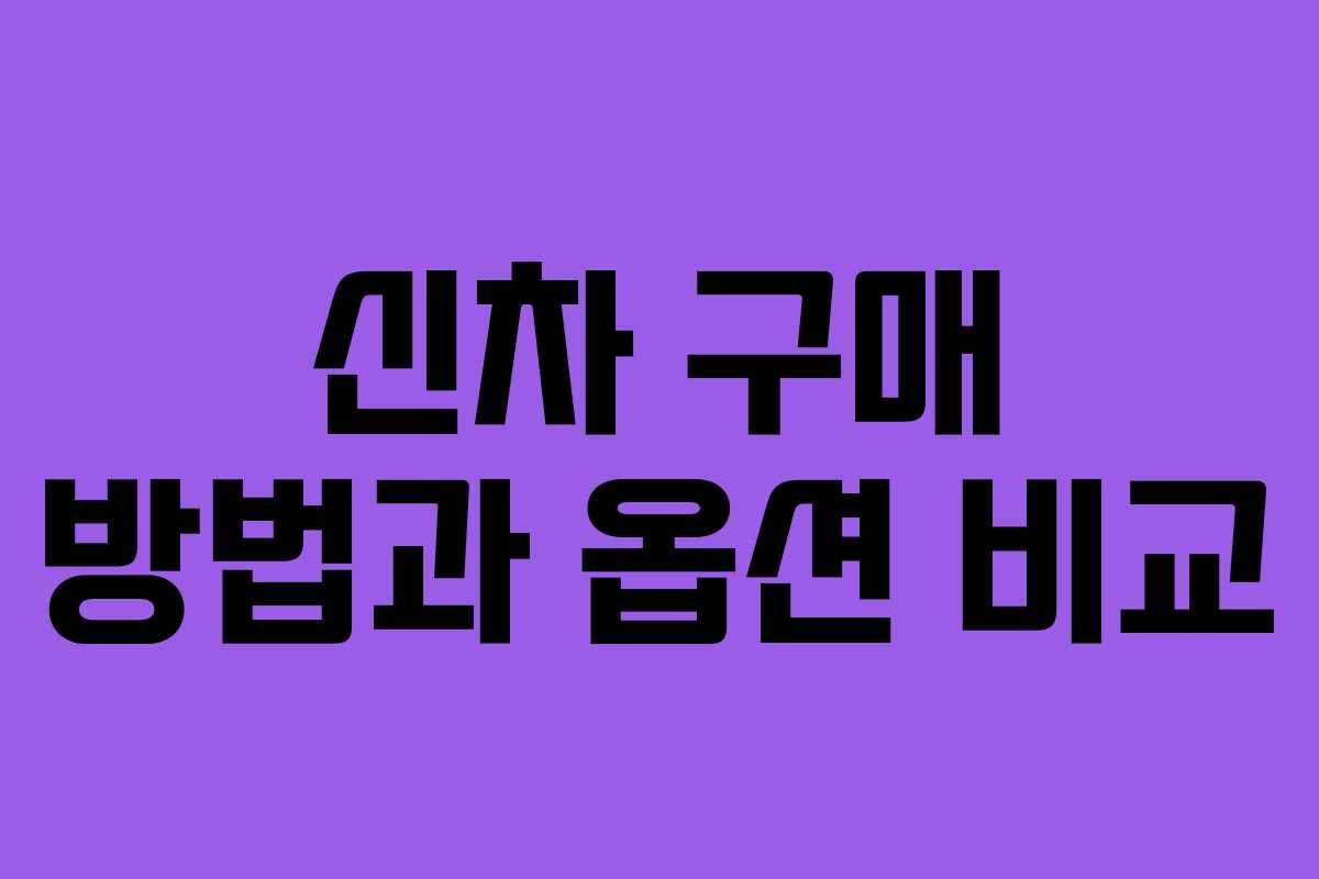 신차 구매 방법과 옵션 비교