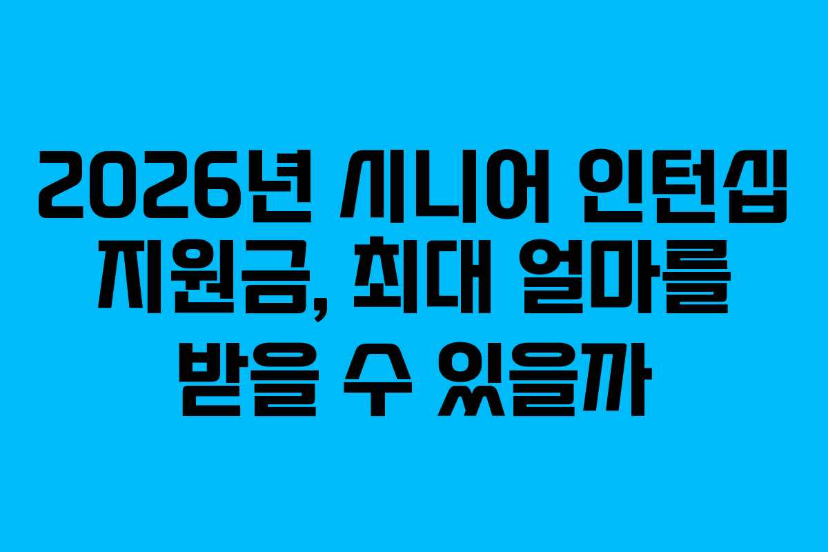 2026년 시니어 인턴십 지원금, 최대 얼마를 받을 수 있을까