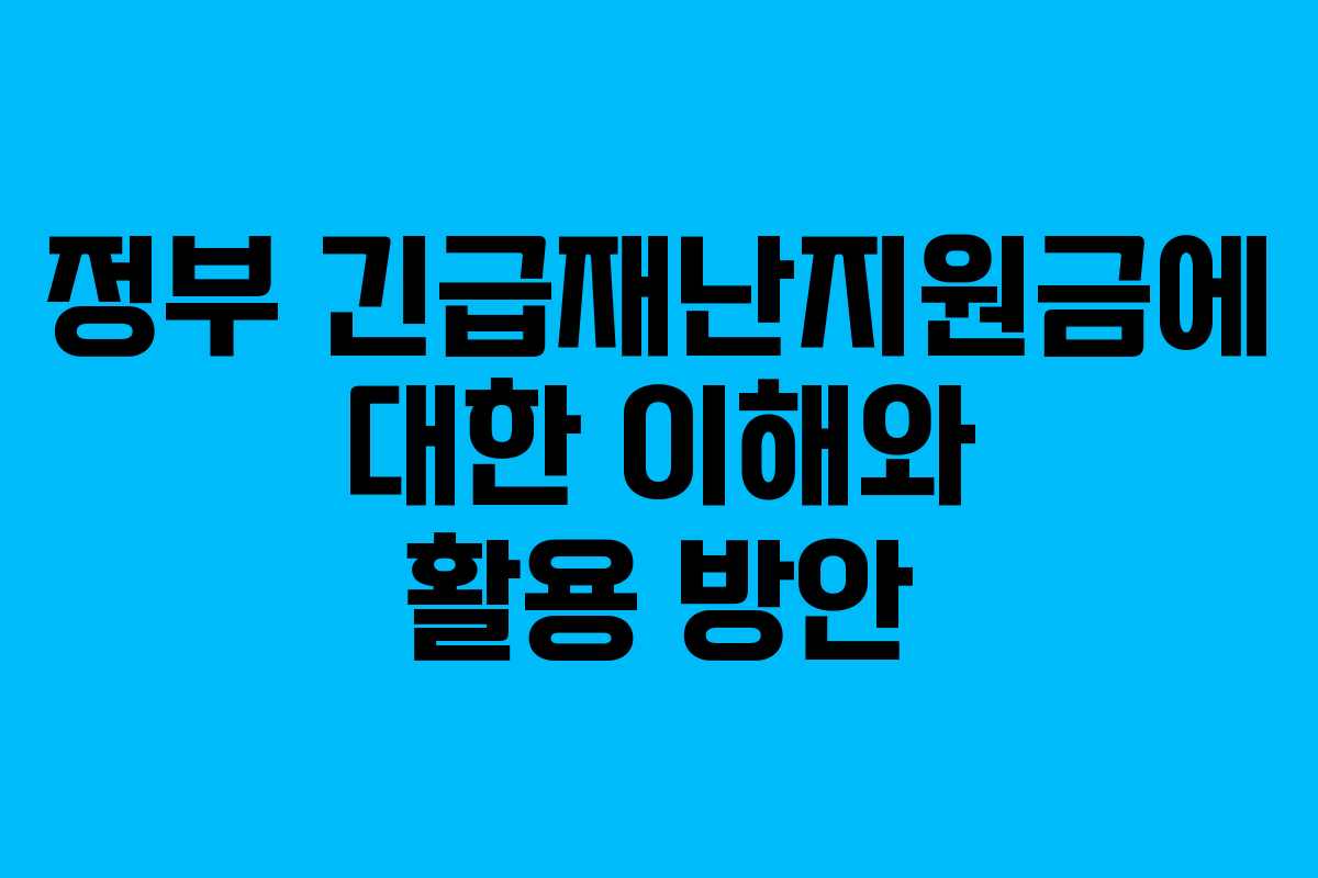 정부 긴급재난지원금에 대한 이해와 활용 방안