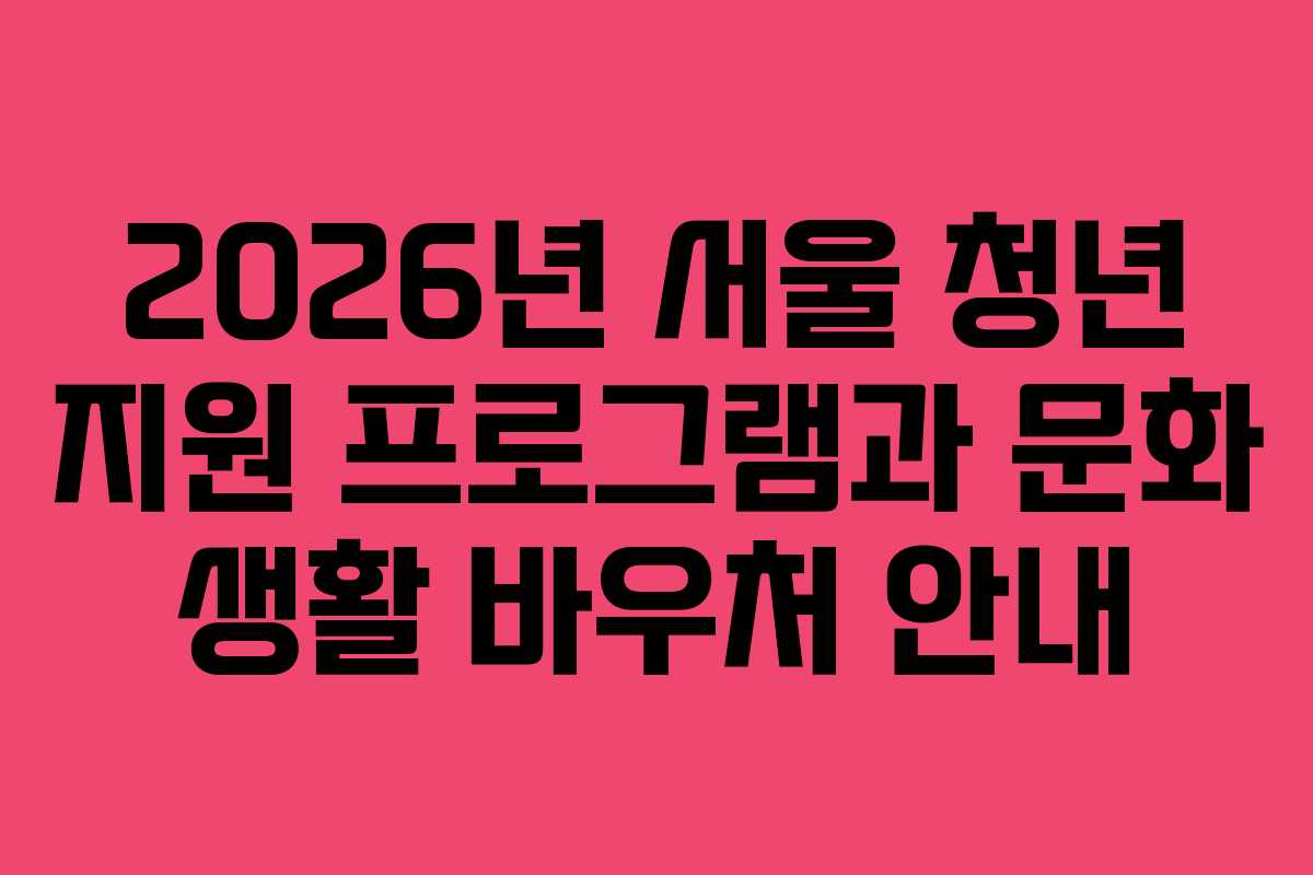 2026년 서울 청년 지원 프로그램과 문화 생활 바우처 안내