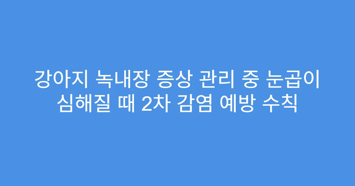 강아지 녹내장 증상 관리 중 눈곱이 심해질 때 2차 감염 예방 수칙