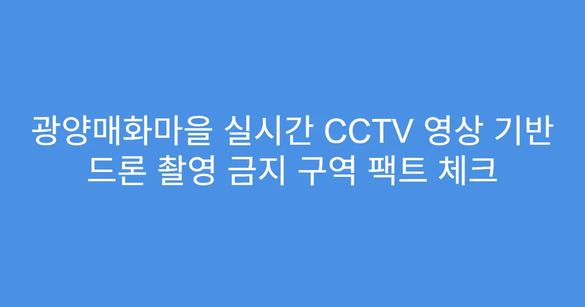 광양매화마을 실시간 CCTV 영상 기반 드론 촬영 금지 구역 팩트 체크