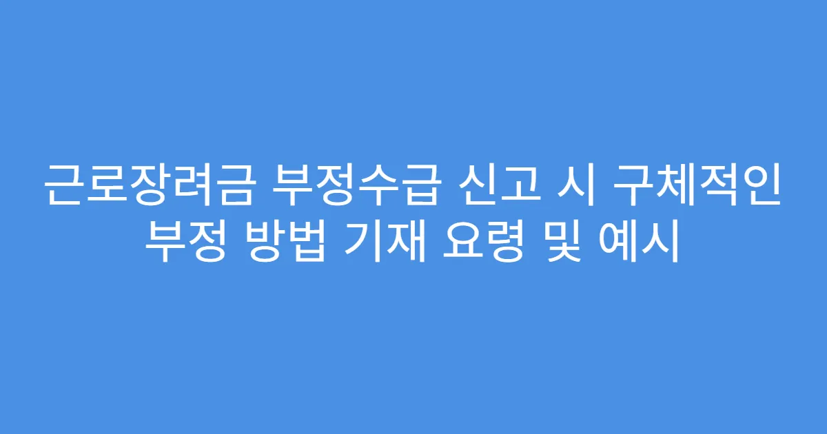 근로장려금 부정수급 신고 시 구체적인 부정 방법 기재 요령 및 예시
