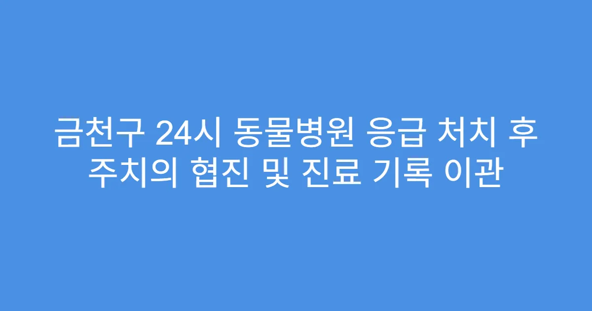금천구 24시 동물병원 응급 처치 후 주치의 협진 및 진료 기록 이관