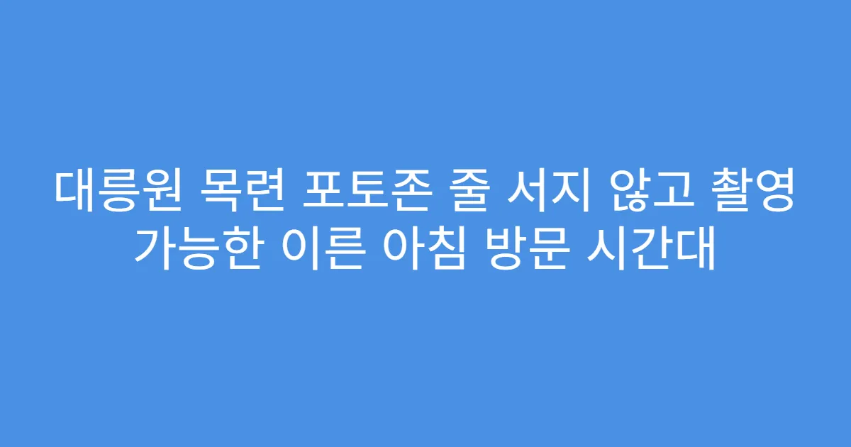 대릉원 목련 포토존 줄 서지 않고 촬영 가능한 이른 아침 방문 시간대