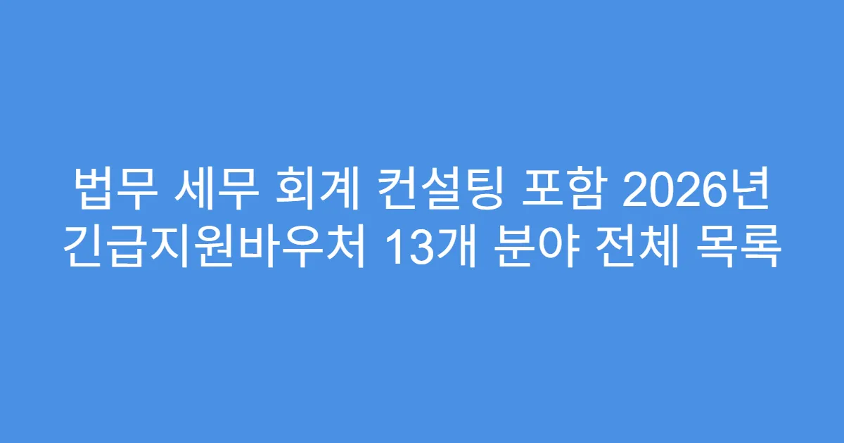 법무 세무 회계 컨설팅 포함 2026년 긴급지원바우처 13개 분야 전체 목록