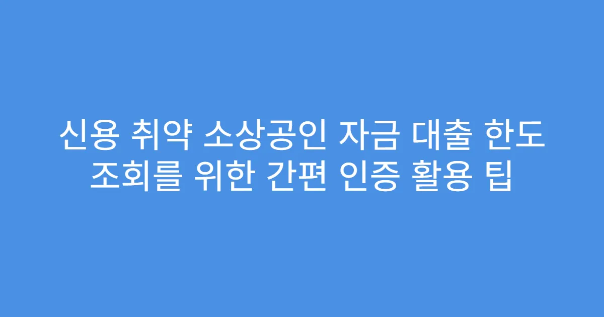 신용 취약 소상공인 자금 대출 한도 조회를 위한 간편 인증 활용 팁