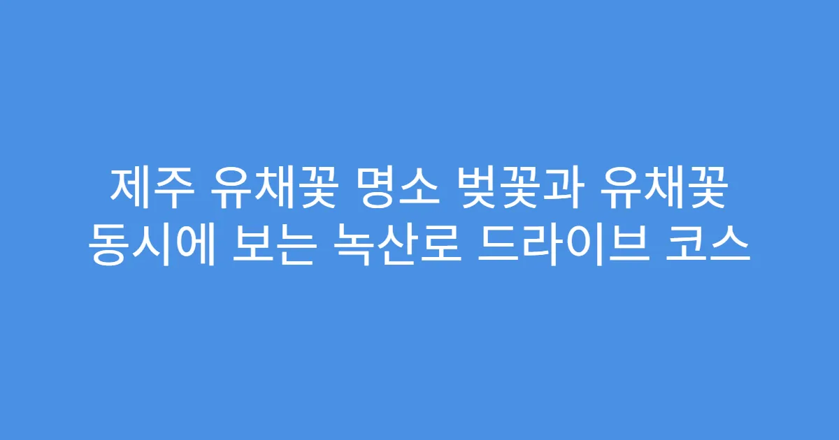 제주 유채꽃 명소 벚꽃과 유채꽃 동시에 보는 녹산로 드라이브 코스