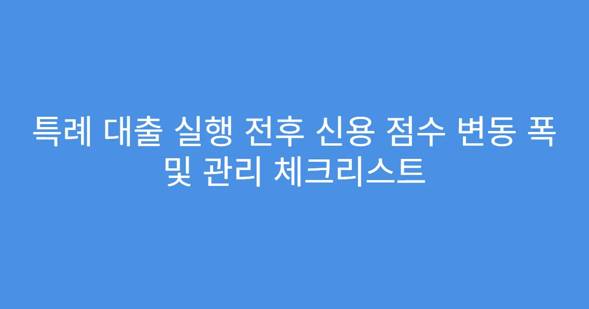 특례 대출 실행 전후 신용 점수 변동 폭 및 관리 체크리스트