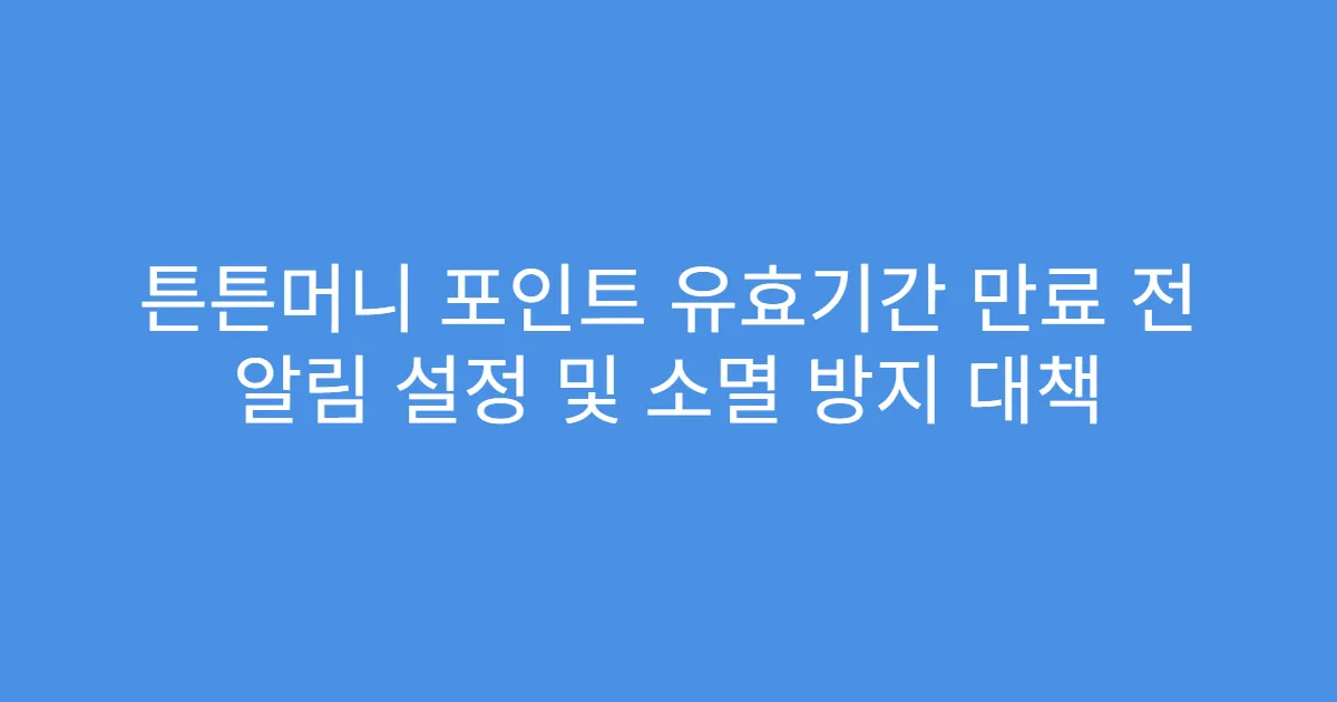 튼튼머니 포인트 유효기간 만료 전 알림 설정 및 소멸 방지 대책