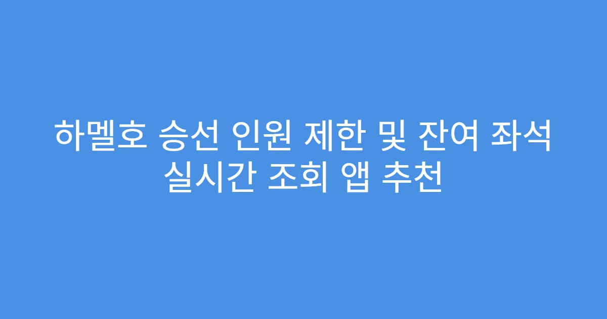 하멜호 승선 인원 제한 및 잔여 좌석 실시간 조회 앱 추천
