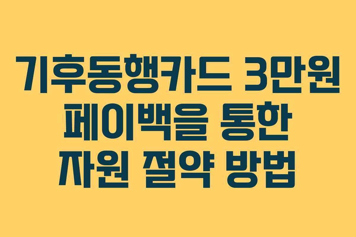 기후동행카드-3만원-페이백을-통한-자원-절약-방법