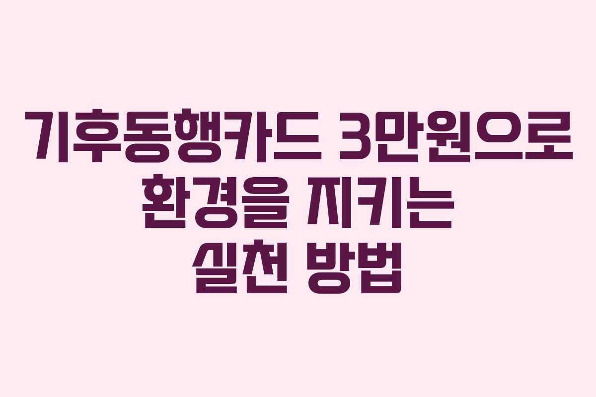 기후동행카드 3만원으로 환경을 지키는 실천 방법