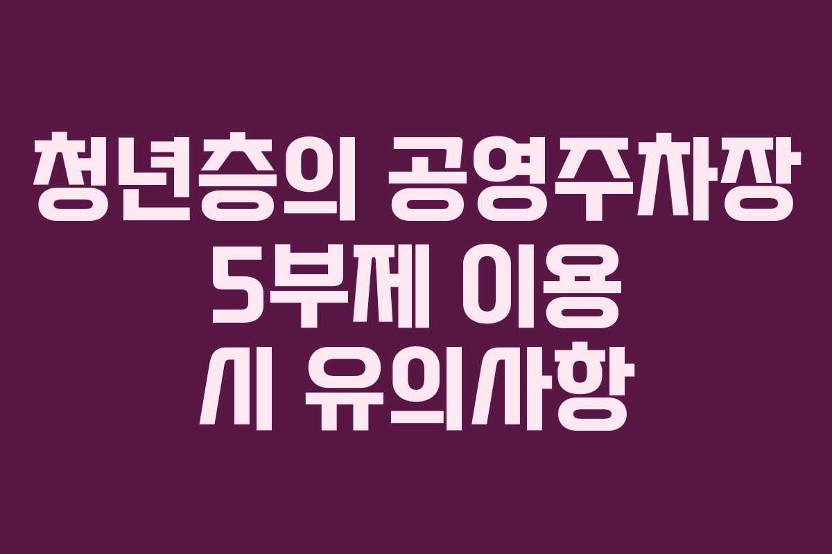청년층의 공영주차장 5부제 이용 시 유의사항