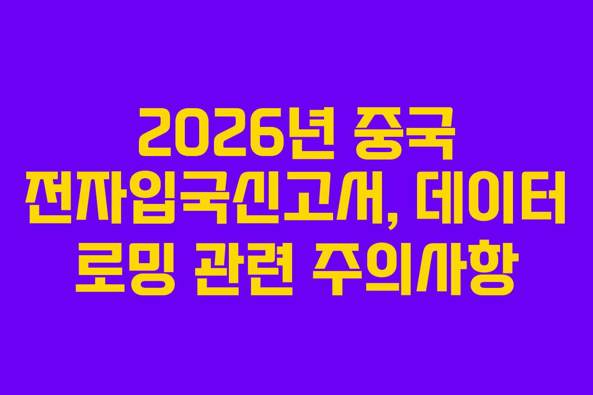 2026년 중국 전자입국신고서, 데이터 로밍 관련 주의사항