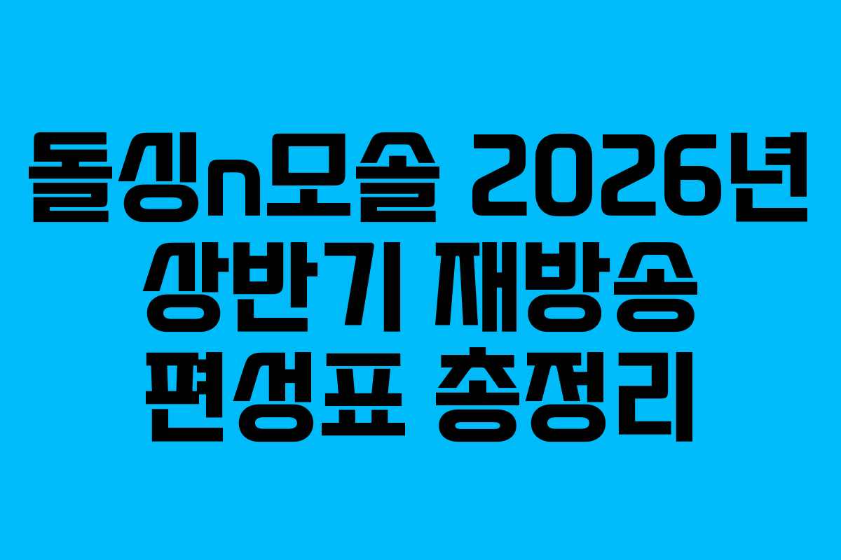 돌싱n모솔 2026년 상반기 재방송 편성표 총정리