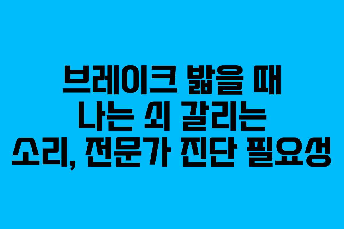 브레이크 밟을 때 나는 쇠 갈리는 소리, 전문가 진단 필요성