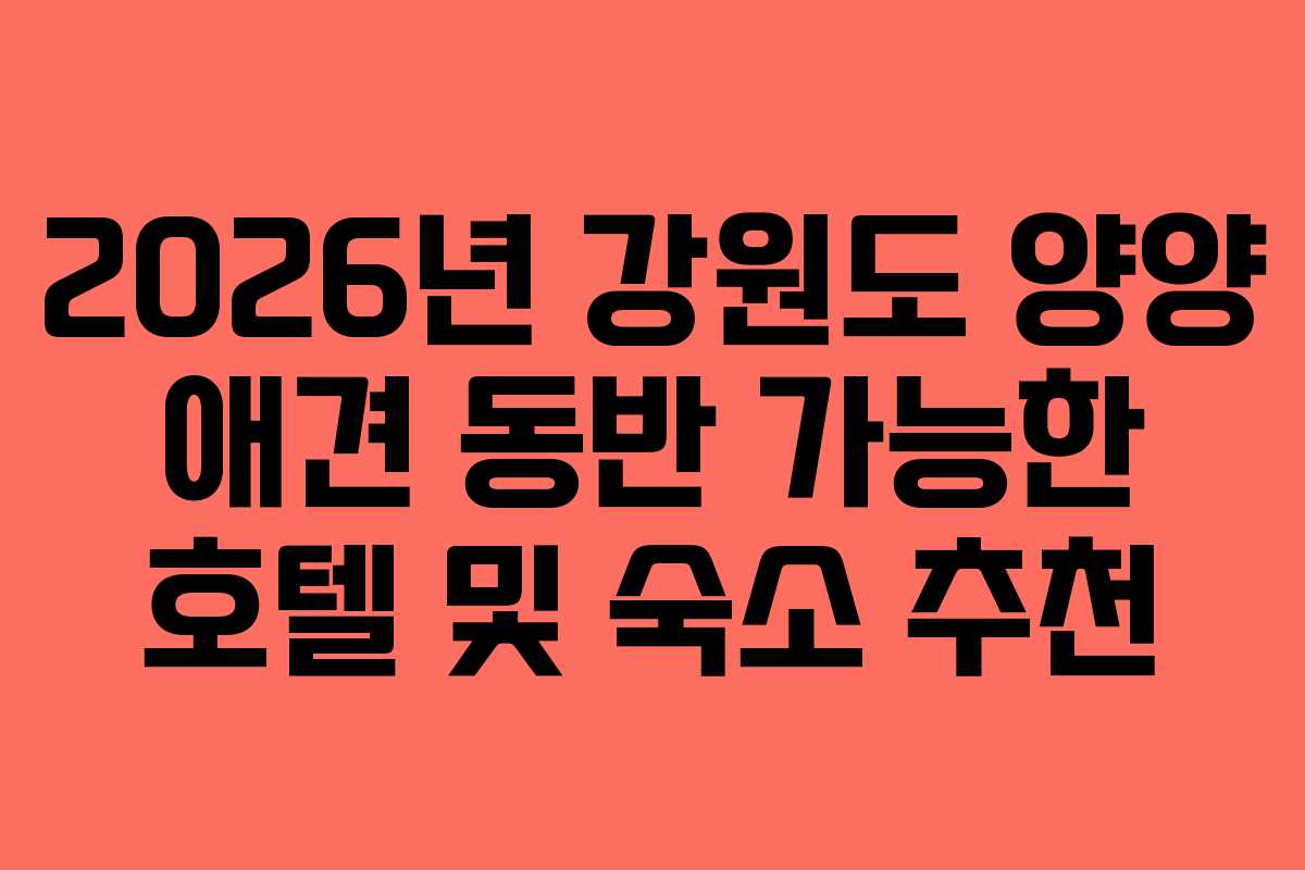 2026년-강원도-양양-애견-동반-가능한-호텔-및-숙소-추천