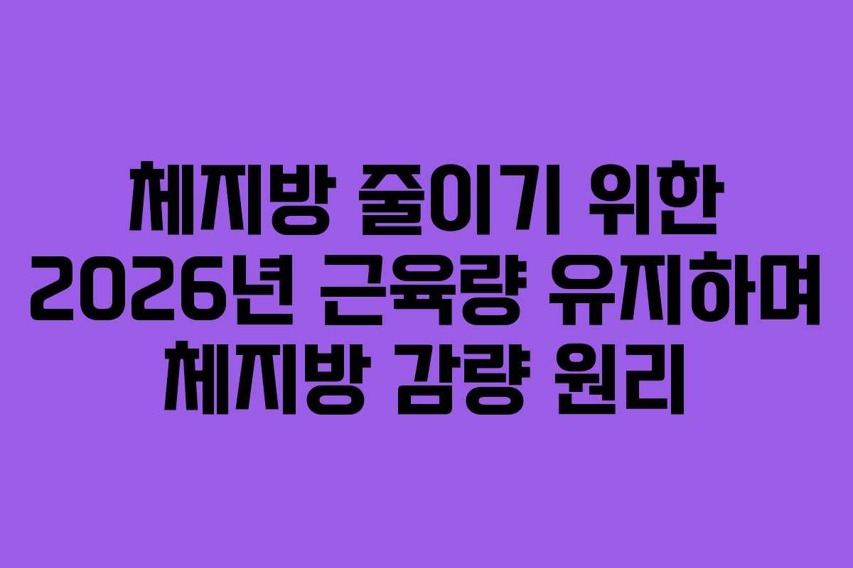 체지방-줄이기-위한-2026년-근육량-유지하며-체지방-감량-원리