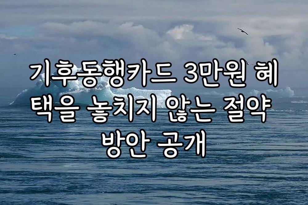 기후동행카드 3만원 혜택을 놓치지 않는 절약 방안 공개