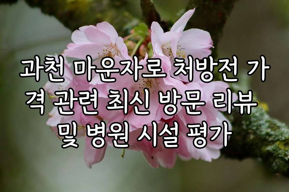 과천 마운자로 처방전 가격 관련 최신 방문 리뷰 및 병원 시설 평가