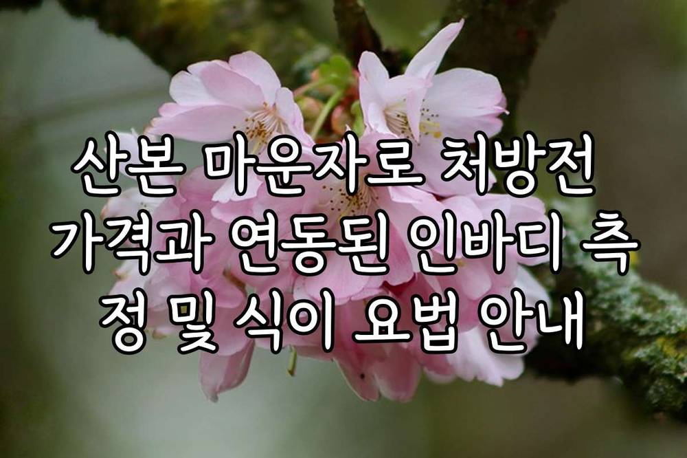 산본 마운자로 처방전 가격과 연동된 인바디 측정 및 식이 요법 안내