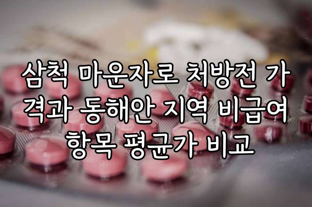 삼척 마운자로 처방전 가격과 동해안 지역 비급여 항목 평균가 비교