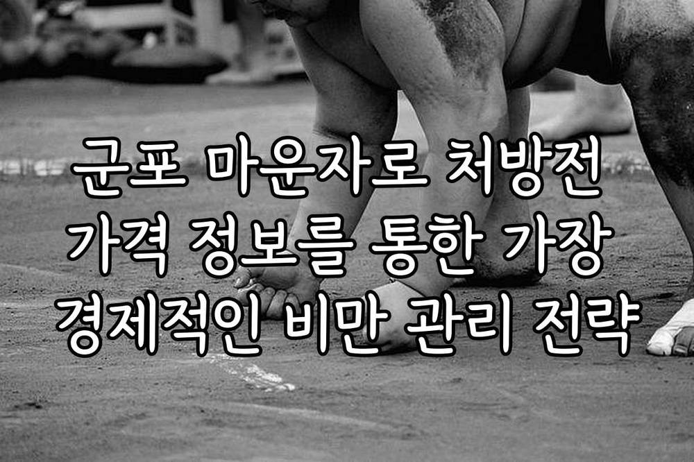 군포 마운자로 처방전 가격 정보를 통한 가장 경제적인 비만 관리 전략