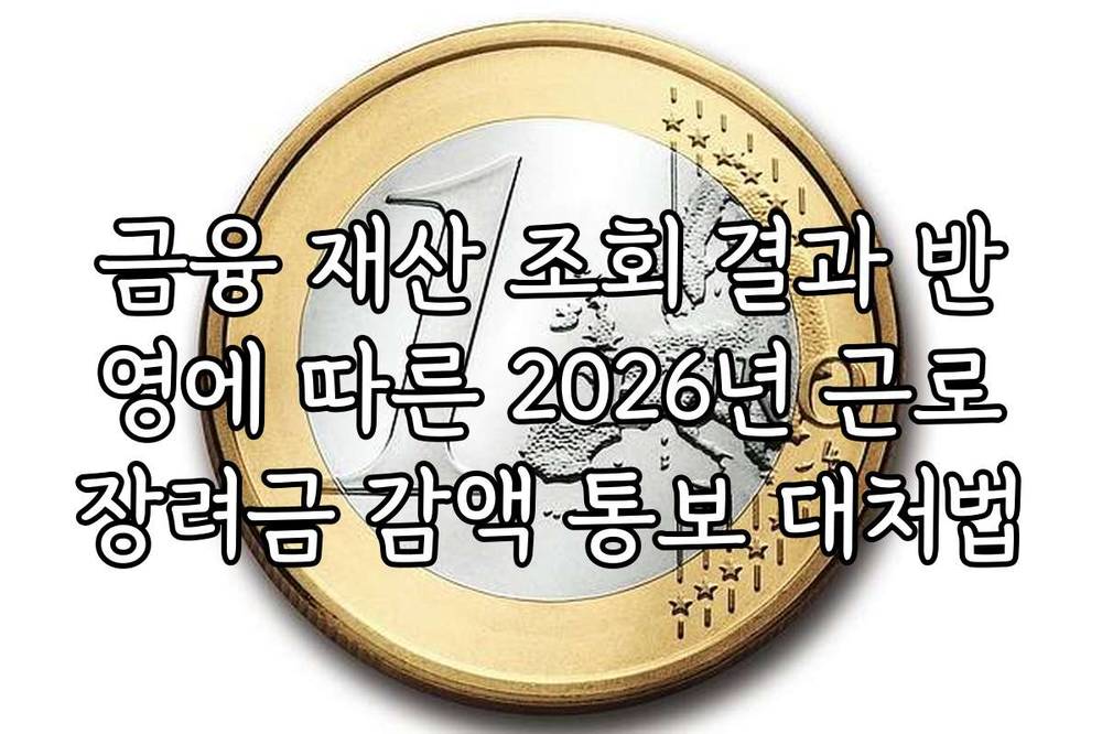 금융 재산 조회 결과 반영에 따른 2026년 근로장려금 감액 통보 대처법
