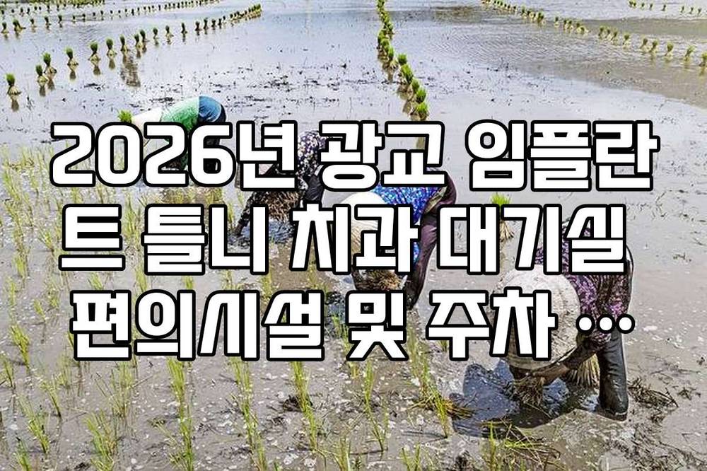 2026년 광교 임플란트 틀니 치과 대기실 편의시설 및 주차 정보 안내