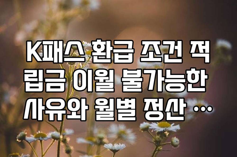 K패스 환급 조건 적립금 이월 불가능한 사유와 월별 정산 일정 안내
