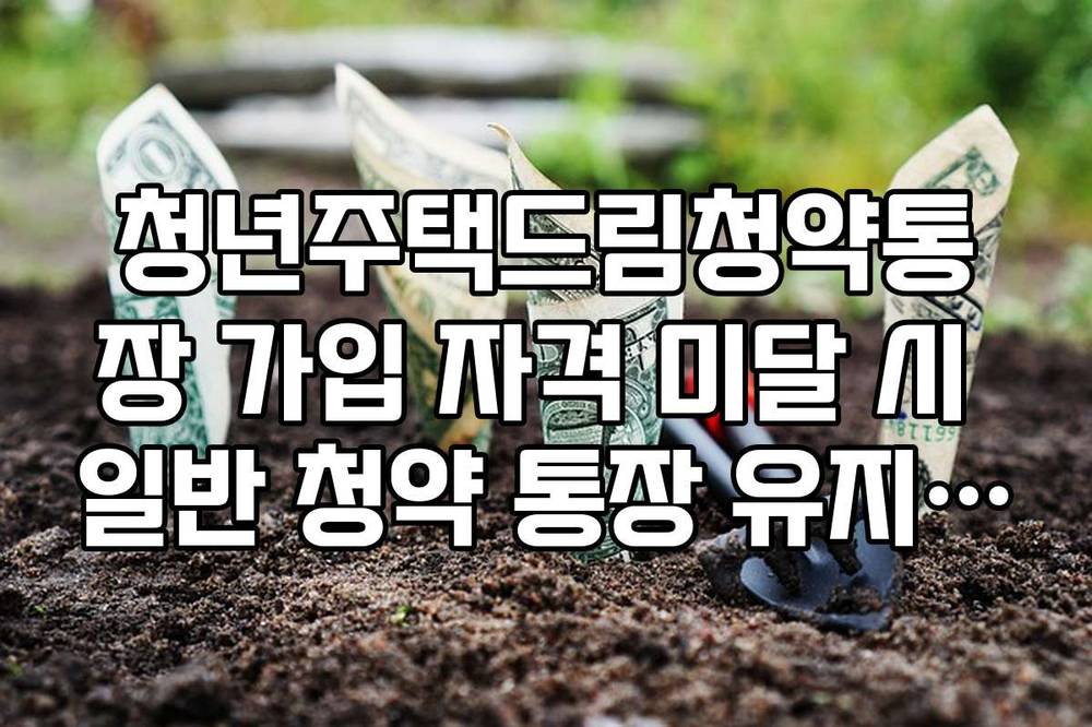 청년주택드림청약통장 가입 자격 미달 시 일반 청약 통장 유지 전략