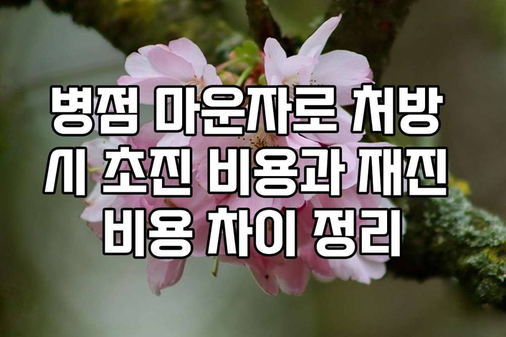 병점 마운자로 처방 시 초진 비용과 재진 비용 차이 정리