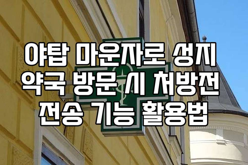 야탑 마운자로 성지 약국 방문 시 처방전 전송 기능 활용법