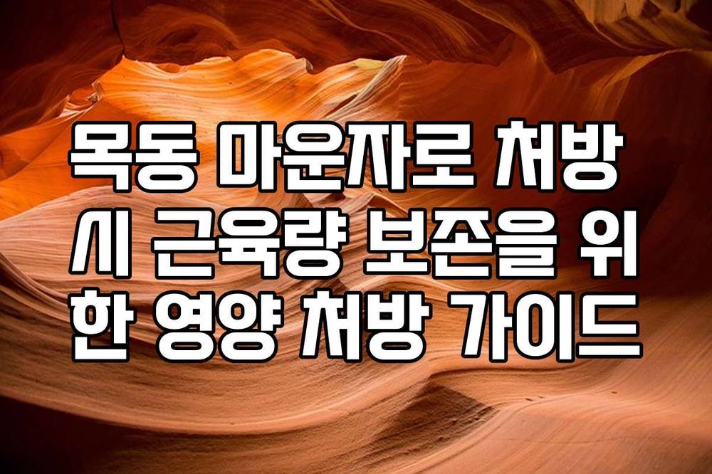 목동 마운자로 처방 시 근육량 보존을 위한 영양 처방 가이드