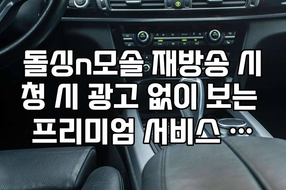 돌싱n모솔 재방송 시청 시 광고 없이 보는 프리미엄 서비스 정보