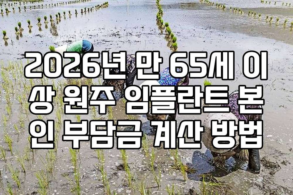 2026년 만 65세 이상 원주 임플란트 본인 부담금 계산 방법