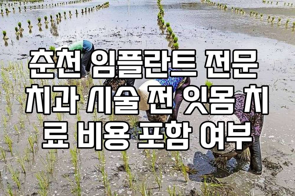 춘천 임플란트 전문 치과 시술 전 잇몸 치료 비용 포함 여부