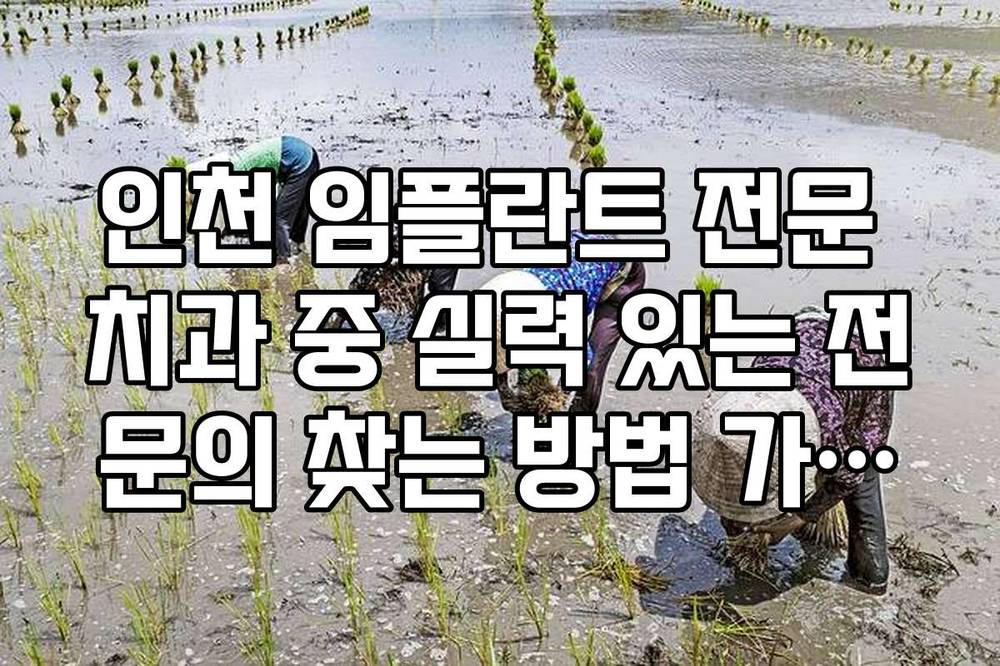 인천 임플란트 전문 치과 중 실력 있는 전문의 찾는 방법 가이드
