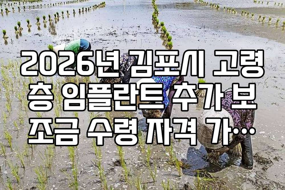 2026년 김포시 고령층 임플란트 추가 보조금 수령 자격 가이드