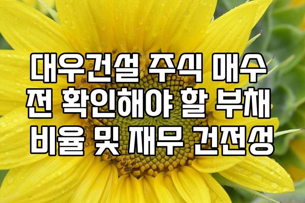 대우건설 주식 매수 전 확인해야 할 부채 비율 및 재무 건전성